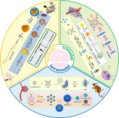 Porphyrin-engineered nanoscale metal-organic frameworks: enhancing photodynamic therapy and ferroptosis in oncology